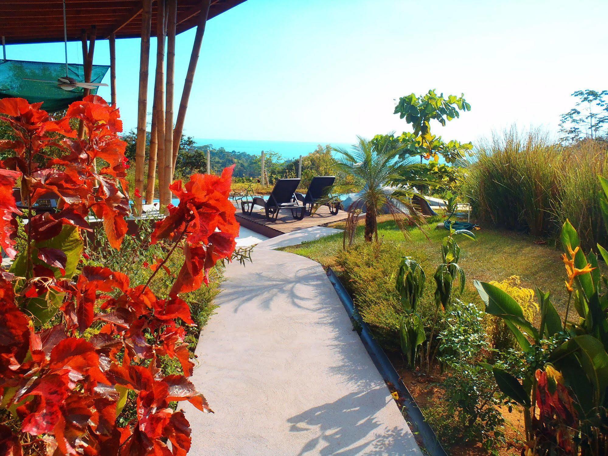 أوفيتا Eden Tica Lodge المظهر الخارجي الصورة