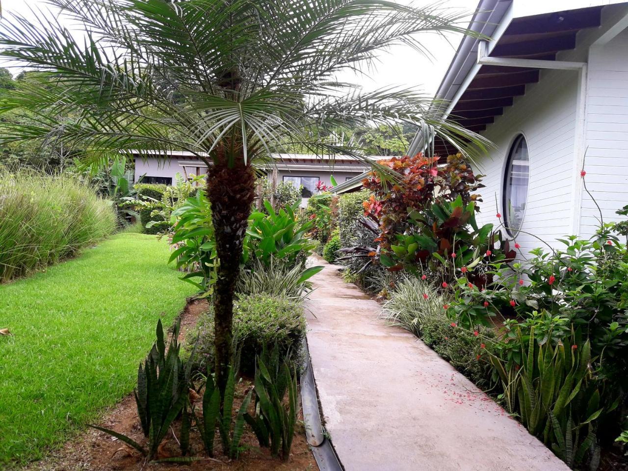 أوفيتا Eden Tica Lodge المظهر الخارجي الصورة