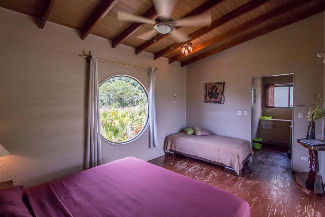 أوفيتا Eden Tica Lodge المظهر الخارجي الصورة