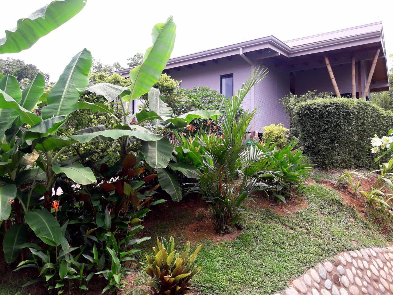 أوفيتا Eden Tica Lodge المظهر الخارجي الصورة