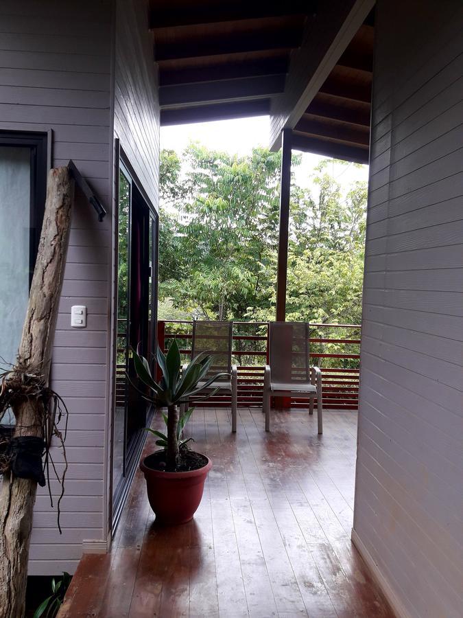 أوفيتا Eden Tica Lodge المظهر الخارجي الصورة