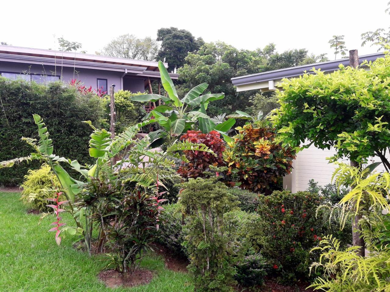 أوفيتا Eden Tica Lodge المظهر الخارجي الصورة
